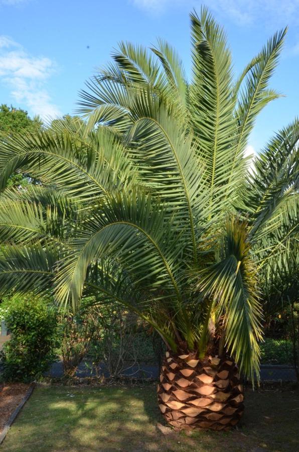 Villa Uhaina Biarritz Luaran gambar